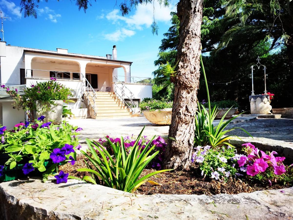 Villa Albarosa
